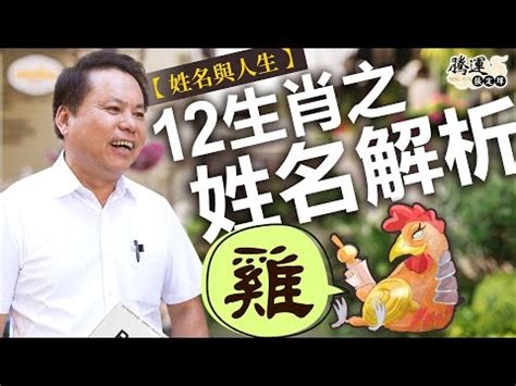 屬雞適合的字|【生肖姓名學】生肖屬雞喜忌用字－歹命人自救會：「補八字六派。